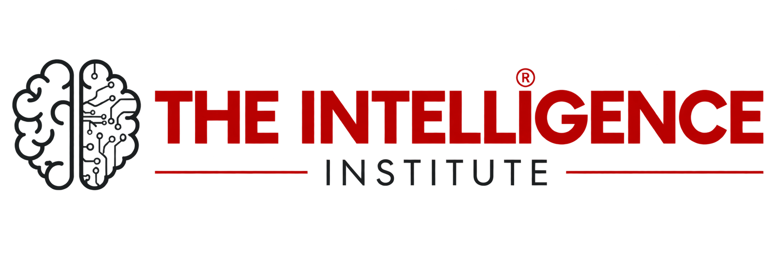 THE INTELLIGENCE INSTITUTE
